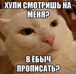 *my1*