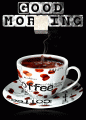 mlidtd 31793